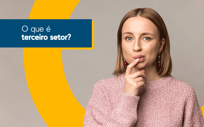 Leia mais sobre o artigo O que é terceiro setor?