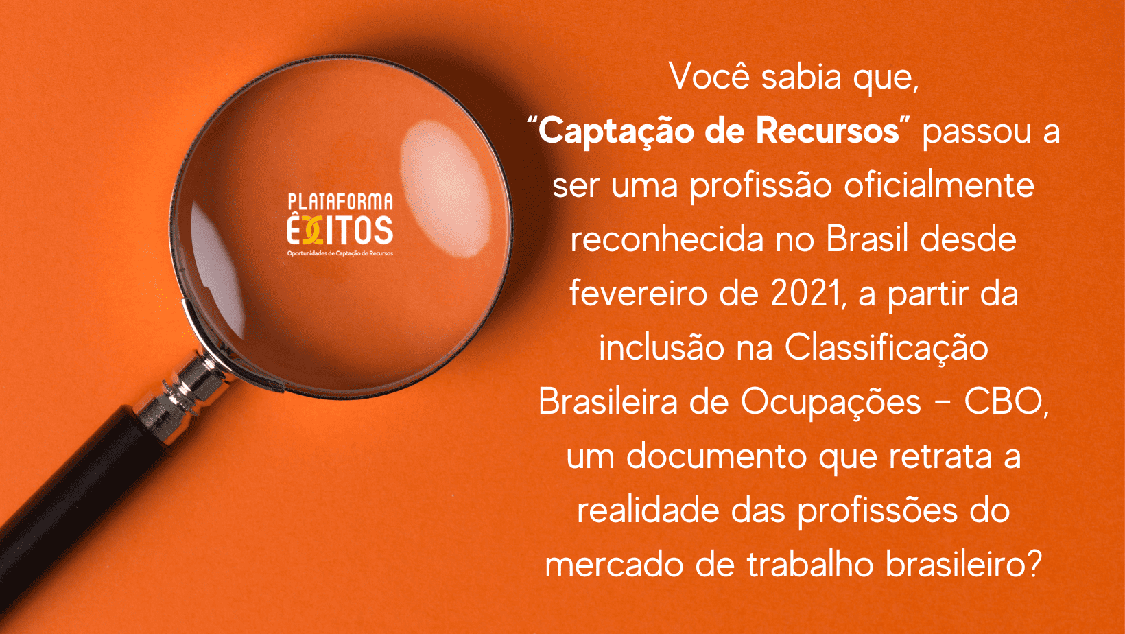 No momento, você está visualizando A profissão Captação de Recursos