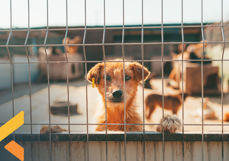 No momento, você está visualizando Lei nº 15.355, de 11 de março de 2026